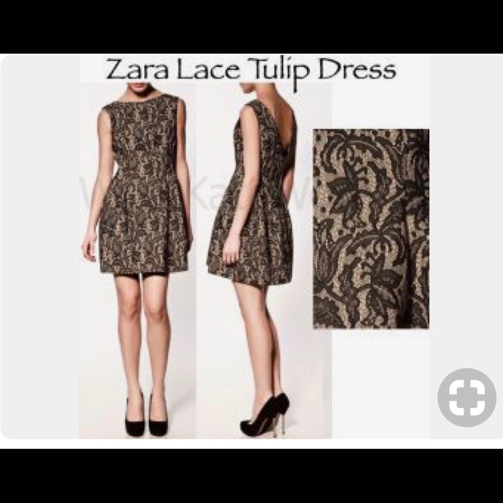 NWOT Zara tulip dress